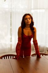 Миниатюра Индивидуалка Софа Фестивальный Фотография 