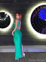 Миниатюра Индивидуалка ИВИ  Центральный Фотография 